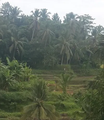 Maison d'hôtes Wedang Tegallalang (Bali)