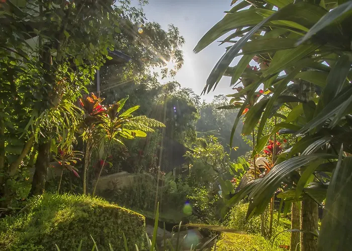 Wedang Maison d'hôtes Tegallalang (Bali)