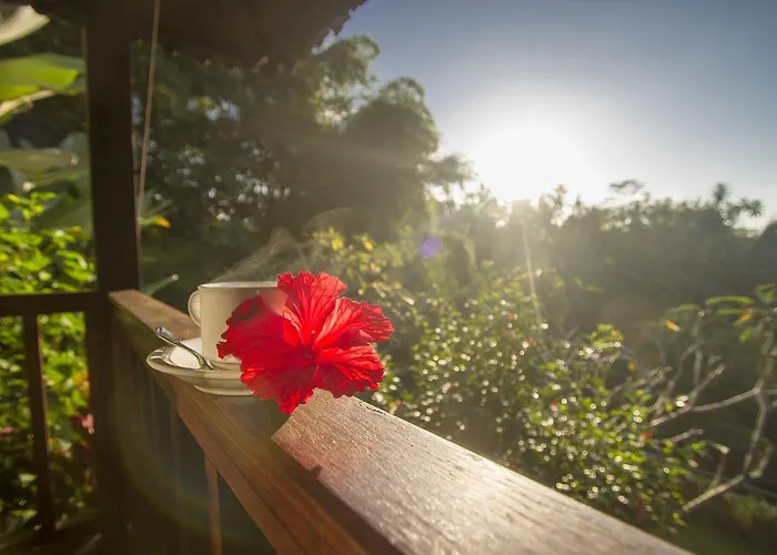 Wedang 4* Tegallalang (Bali)